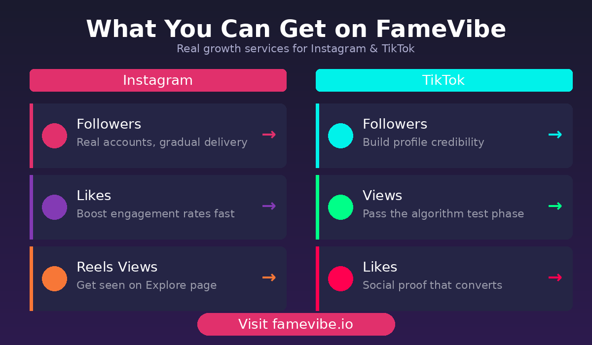 FameVibe Services - Instagram and TikTok Growth